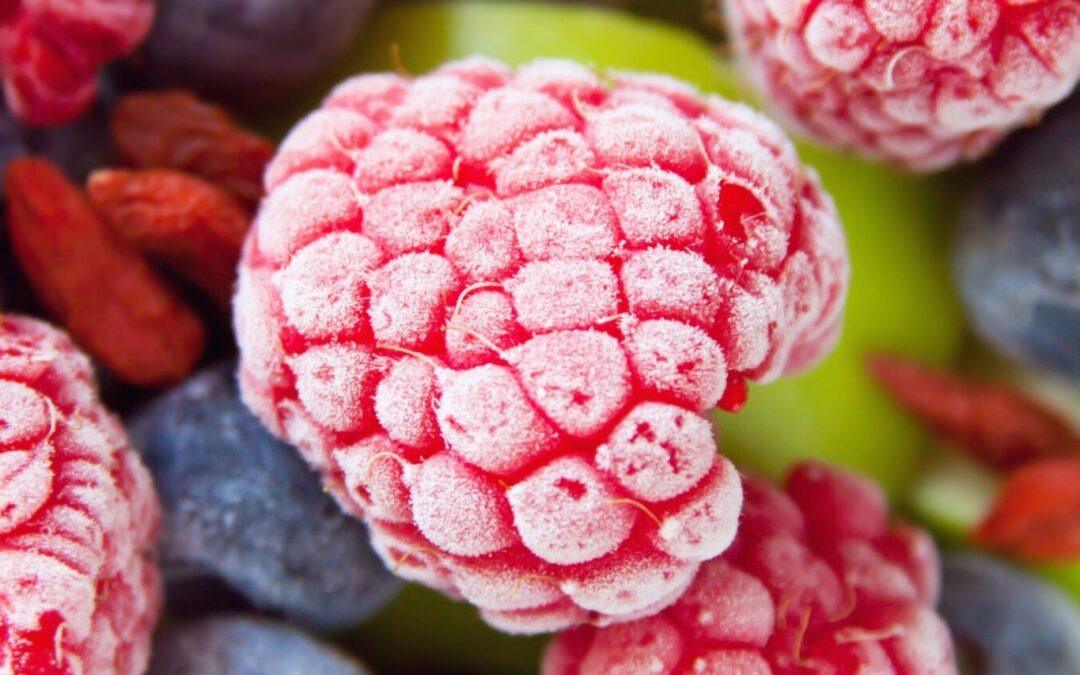 Distribuidor de fruta congelada para Smoothies – Zumit