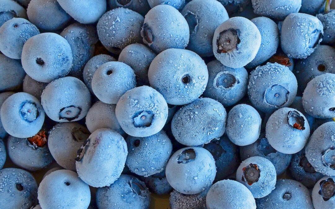 Zumit: Venda grossista de fruta congelada